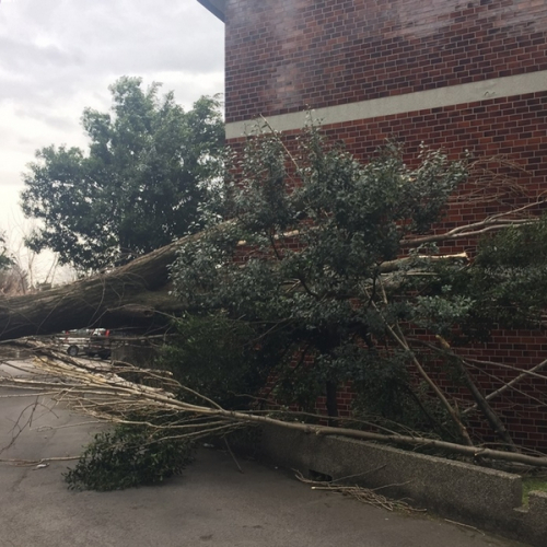 Interventi a causa della Bora foto n.14 / 112668