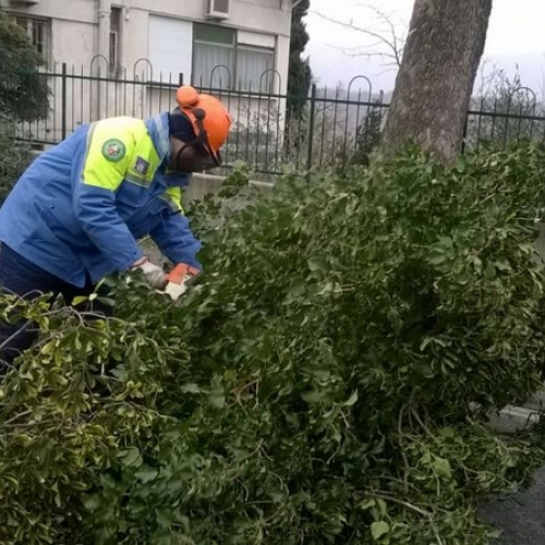 Interventi a causa della Bora foto n.16 / 112670