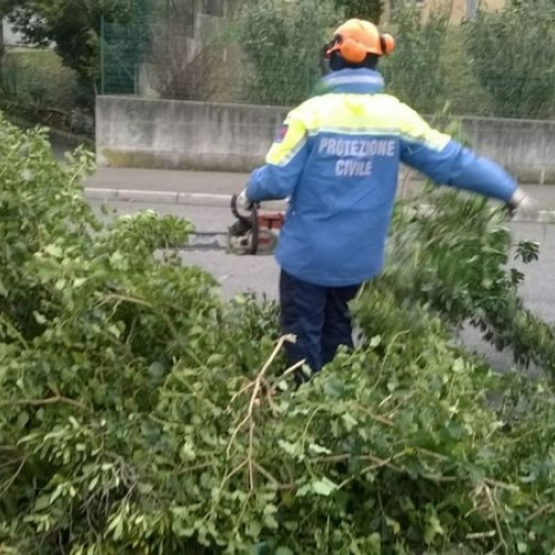 Interventi a causa della Bora foto n.17 / 112671