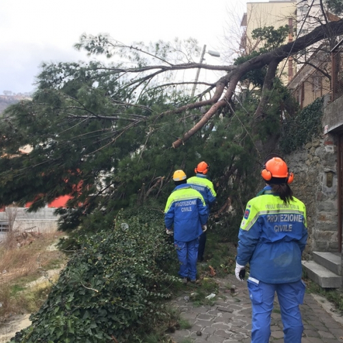 Interventi a causa della Bora foto n.18 / 112672