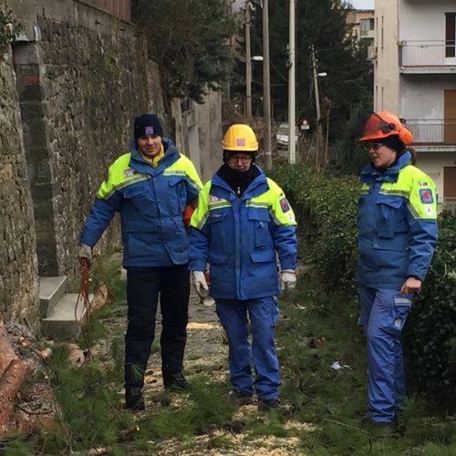 Interventi a causa della Bora foto n.19 / 112673