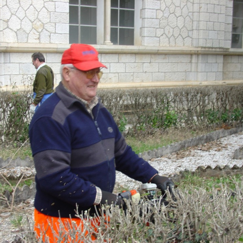 foto esercitazione n. 21 / 21421