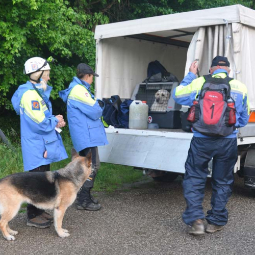 Esercitazione DOG FRIEND 2013" n. 20""sercitazione "DOG FRIE""ercitazi" / 94667