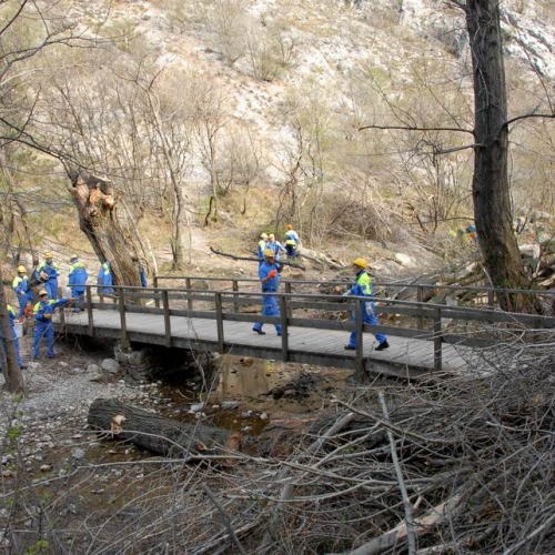 Intervento San Dorligo della Valle - Dolina n. 20 / 79132