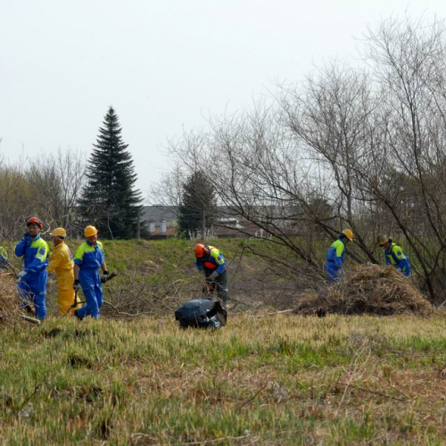 Intervento Caneva n. 21 / 78872