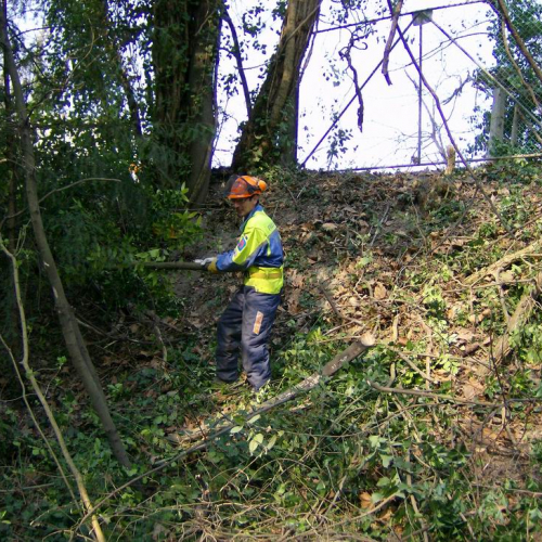 Intervento Ronchis n. 20 / 78915