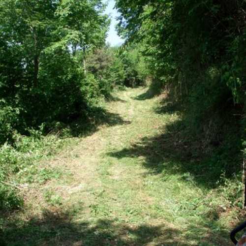 attivit‡ ripristino di una pista forestale n. 21 / 53639