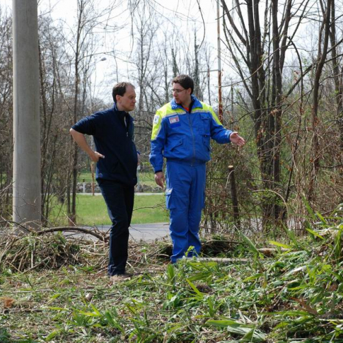 Intervento Fanna n. 21 / 78950