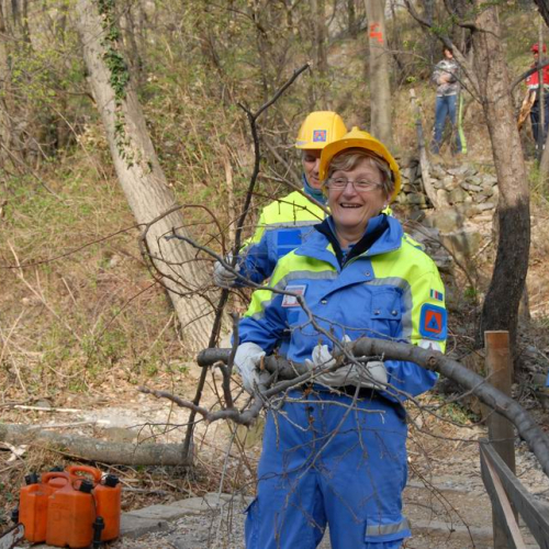 Intervento San Dorligo della Valle - Dolina n. 21 / 79133