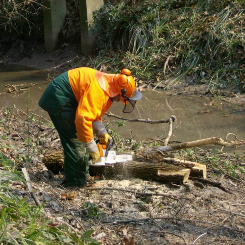 Intervento Ronchis n. 21 / 78916