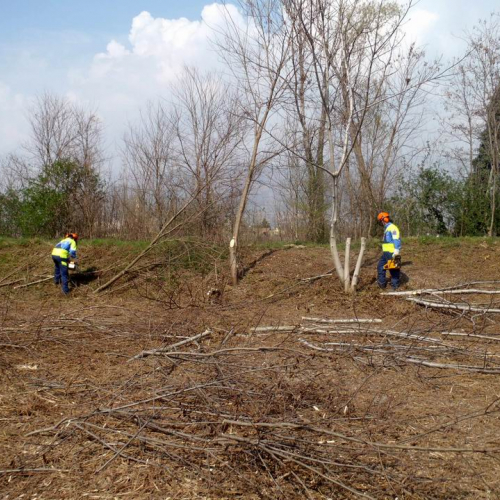 Intervento Caneva n. 22 / 78873