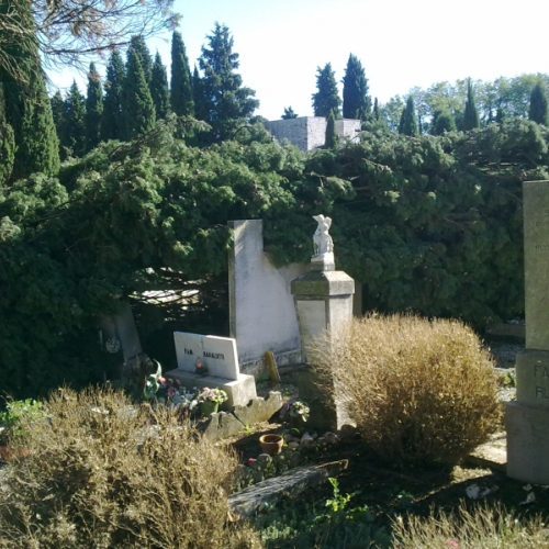 Foto 31 / 111757