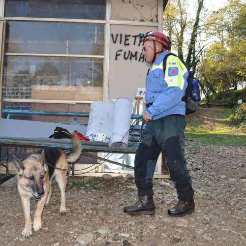Prove abilitative Unit‡ cinofile n. 11 / 73984