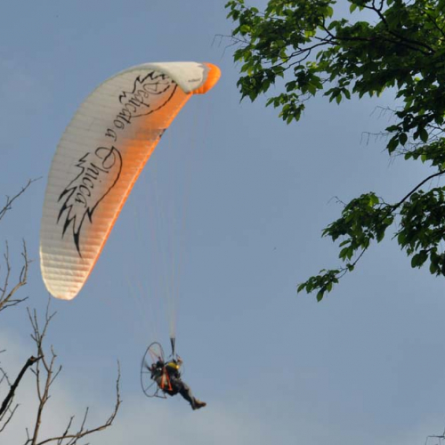 Esercitazione DOG FRIEND 2013" n. 22""sercitazione "DOG FRIE""ercitazi" / 94669