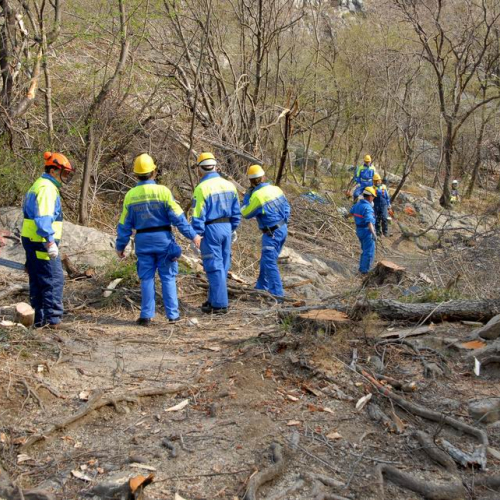 Intervento San Dorligo della Valle - Dolina n. 22 / 79134