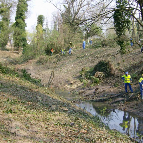 Intervento Ronchis n. 22 / 78917