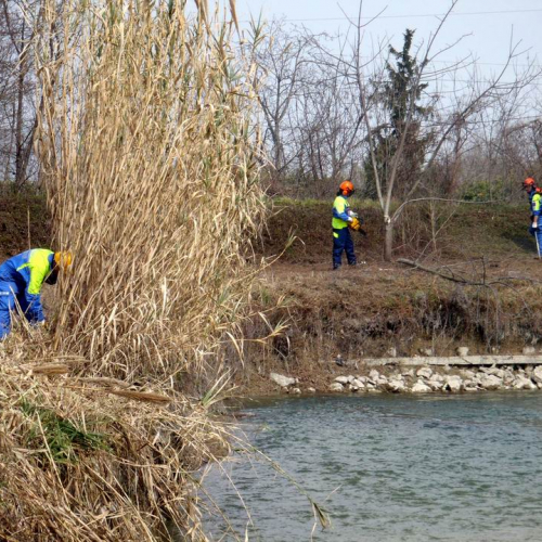 Intervento Caneva n. 23 / 78874