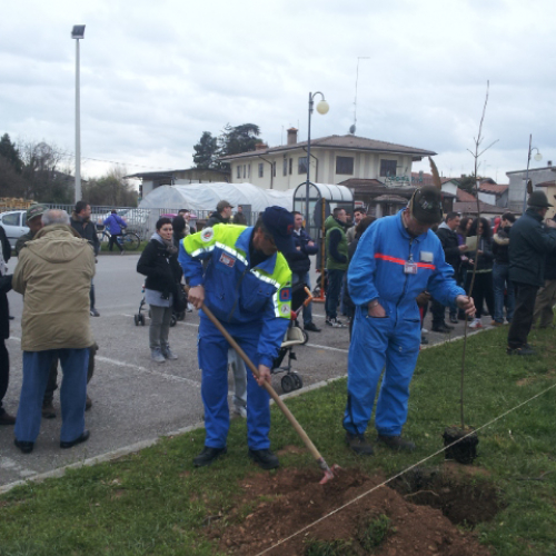 Giornata ecologica n. 21 / 92025