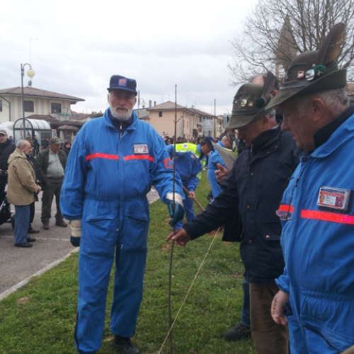 Giornata ecologica n. 22 / 92026