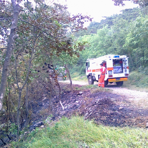 Incendio boschivo 23/06 n. 3 / 67741
