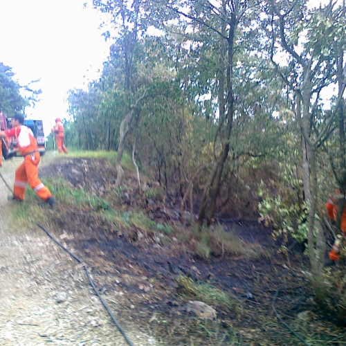Incendio boschivo 23/06 n. 5 / 67743