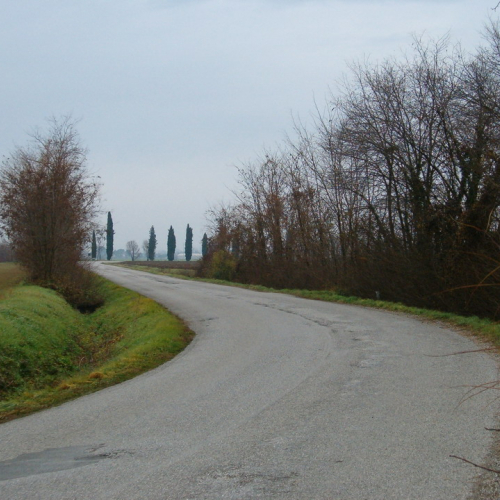 Foto riprofilatura fossati n. 17 (prima dell'intervento) / 23086