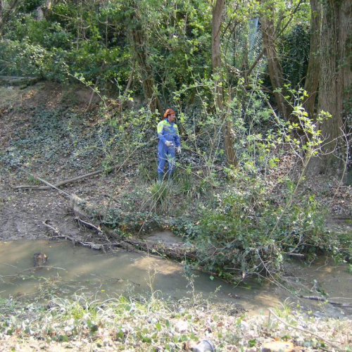 Intervento Ronchis n. 23 / 78918