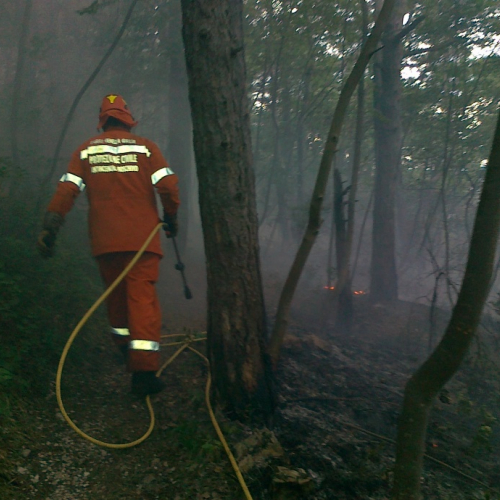 Incendio boschivo 24/06 n. 1 / 67769
