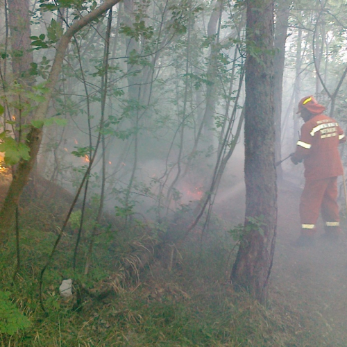 Incendio boschivo 24/06 n. 2 / 67770