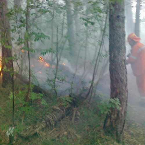 Incendio boschivo 24/06 n. 3 / 67771