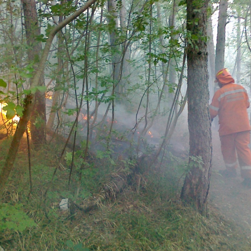 Incendio boschivo 24/06 n. 4 / 67772
