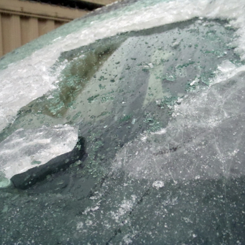 Gelicidio in provincia di Trieste n. 1 / 92277