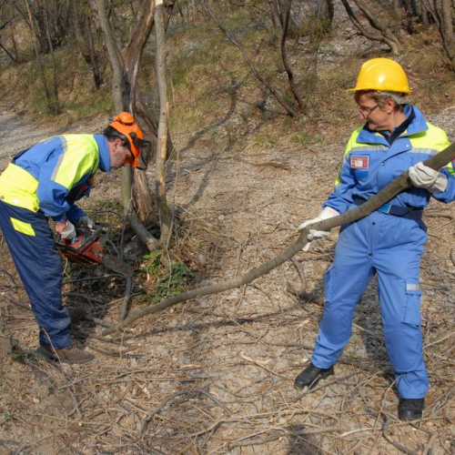 Intervento San Dorligo della Valle - Dolina n. 24 / 79136