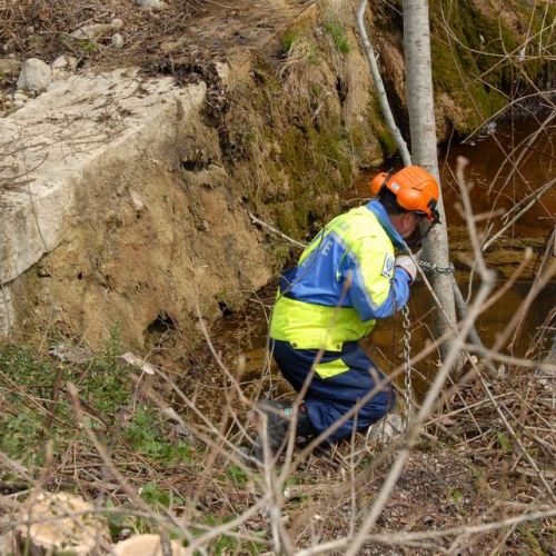 Intervento Attimis n. 25 / 78812