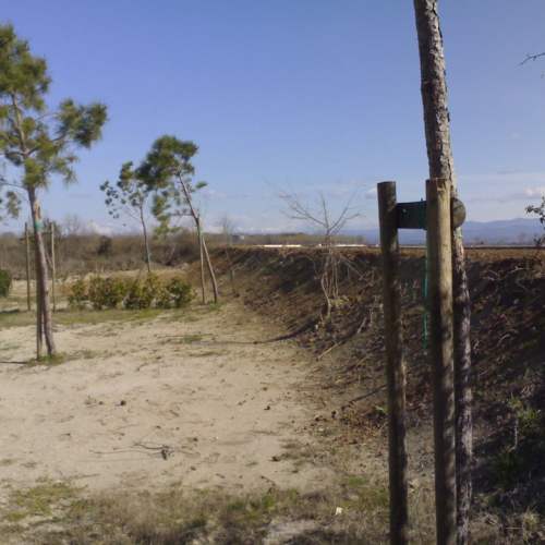 Fine lavori argine a Grado n. 4 / 36603
