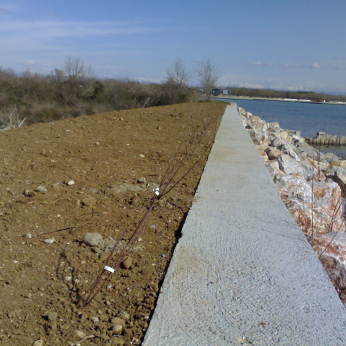 Fine lavori argine a Grado n. 6 / 36605