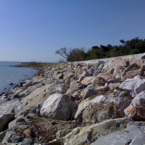 Fine lavori argine a Grado n. 9 / 36608