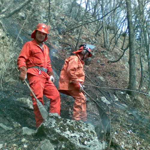 Incendio boschivo a Fusea - Tolmezzo n. 2 / 78336