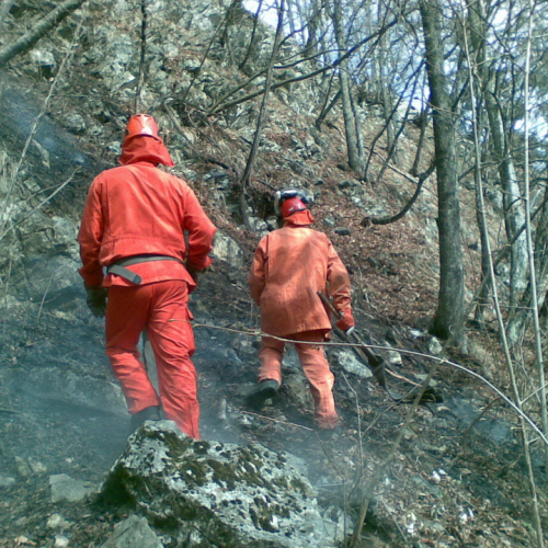 Incendio boschivo a Fusea - Tolmezzo n. 3 / 78337