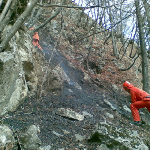 Incendio boschivo a Fusea - Tolmezzo n. 4 / 78338