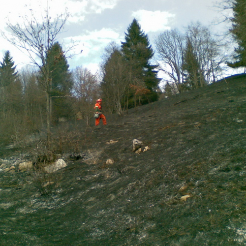 Incendio boschivo a Fusea - Tolmezzo n. 6 / 78340