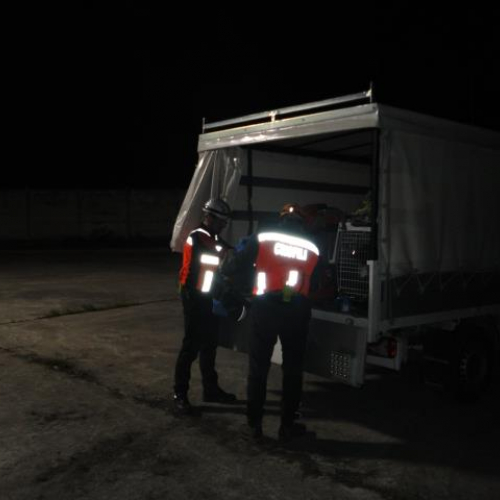 Esercitazione DOG FRIEND 2013" n. 8""sercitazione "DOG FRI""ercitaz" / 94745