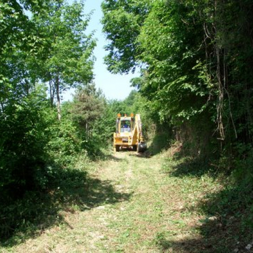 attivit‡ ripristino di una pista forestale n. 25 / 53643