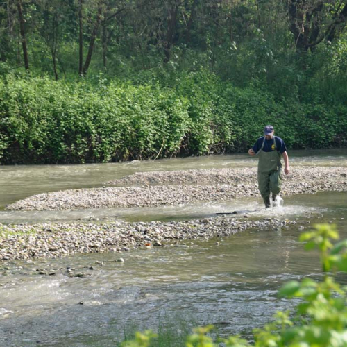 Esercitazione DOG FRIEND 2013" n. 25""sercitazione "DOG FRIE""ercitazi" / 94672