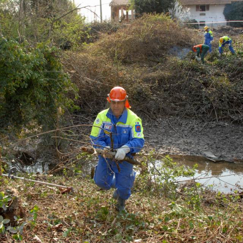 Intervento Ronchis n. 25 / 78920