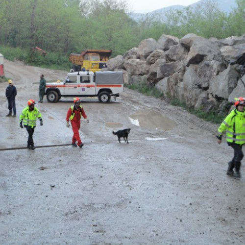 Esercitazione DOG FRIEND 2013" n. 10""sercitazione "DOG FRIE""ercitazi" / 94747