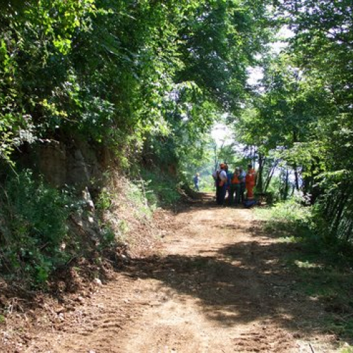 attivit‡ ripristino di una pista forestale n. 26 / 53644