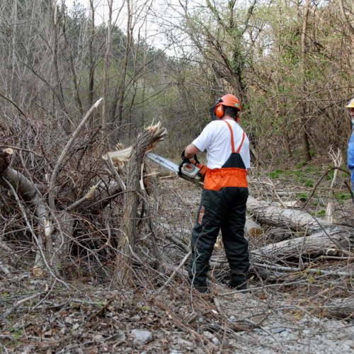 Intervento San Dorligo della Valle - Dolina n. 26 / 79138