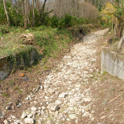 Intervento Fanna n. 26 / 78955