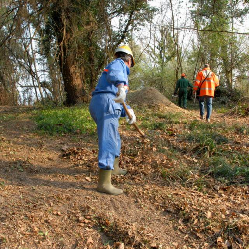 Intervento Ronchis n. 26 / 78921